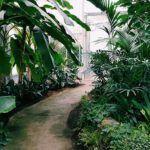 garden-pf7