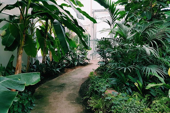 garden-pf7