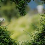 pic-blog-3